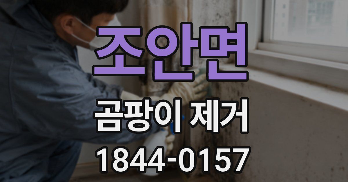 조안면 곰팡이 제거