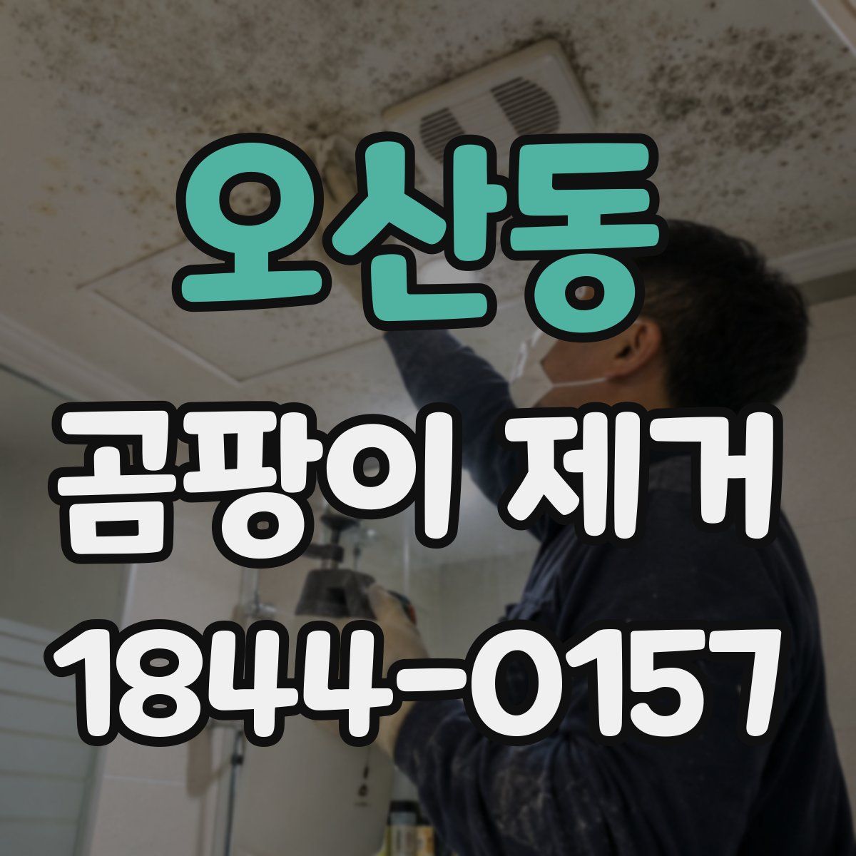 오산동 곰팡이 제거