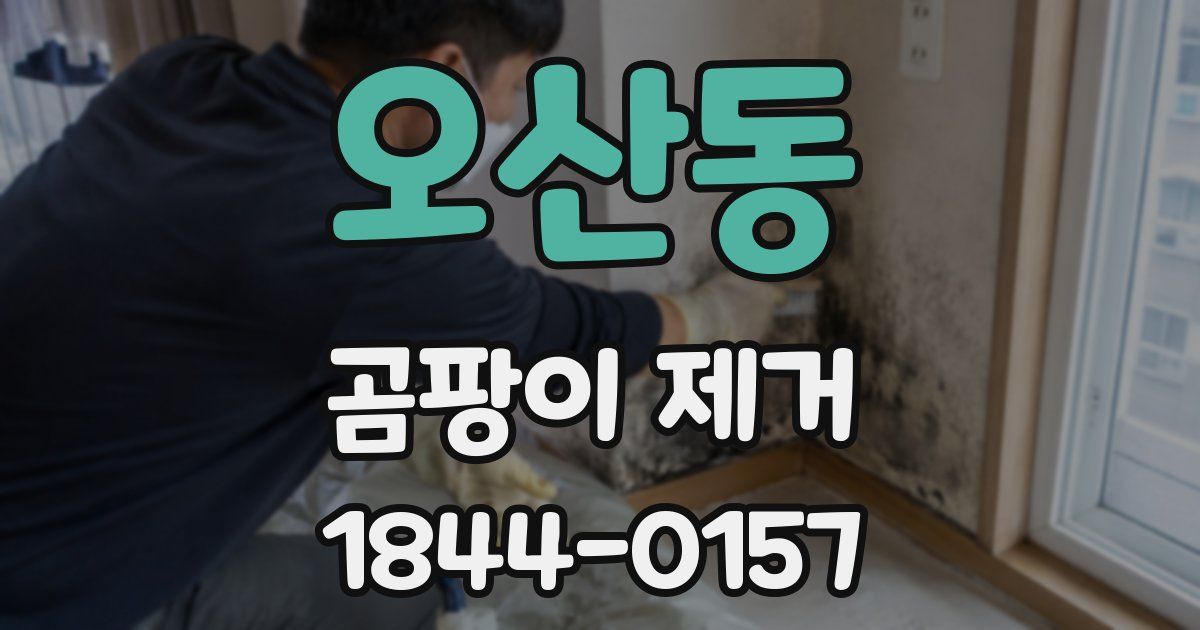 오산동 곰팡이 제거