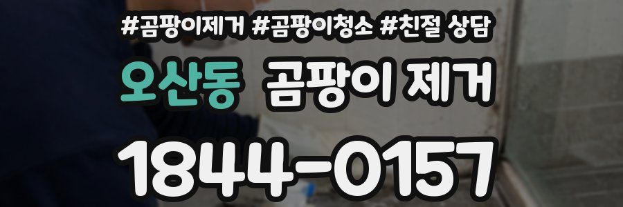 오산동 곰팡이 제거