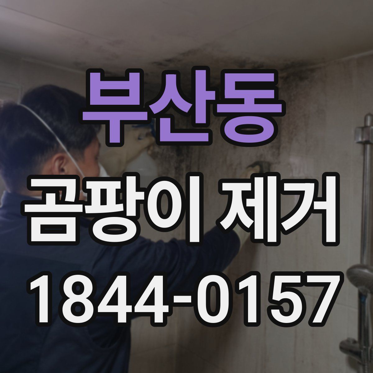 부산동 곰팡이 제거