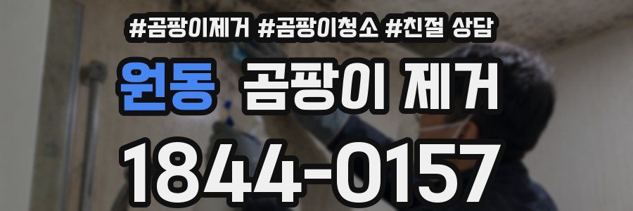 원동 곰팡이 제거