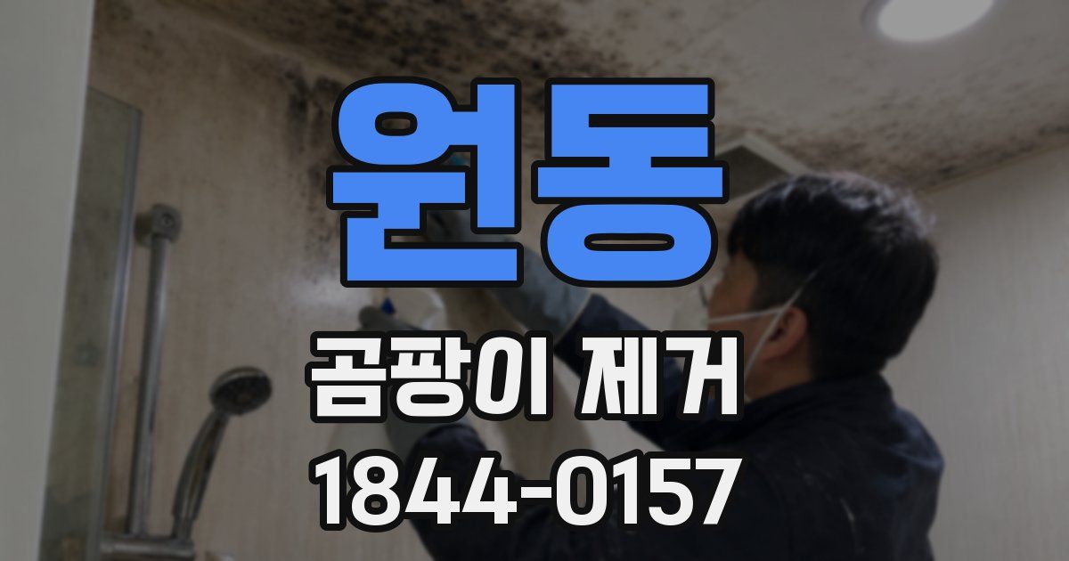 원동 곰팡이 제거