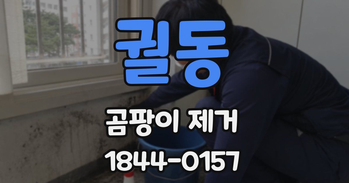 궐동 곰팡이 제거