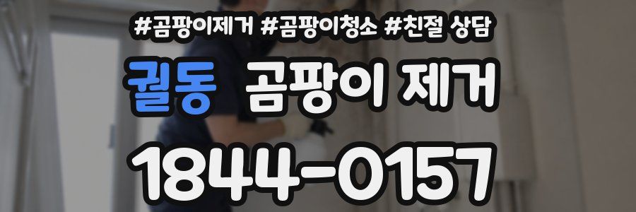 궐동 곰팡이 제거