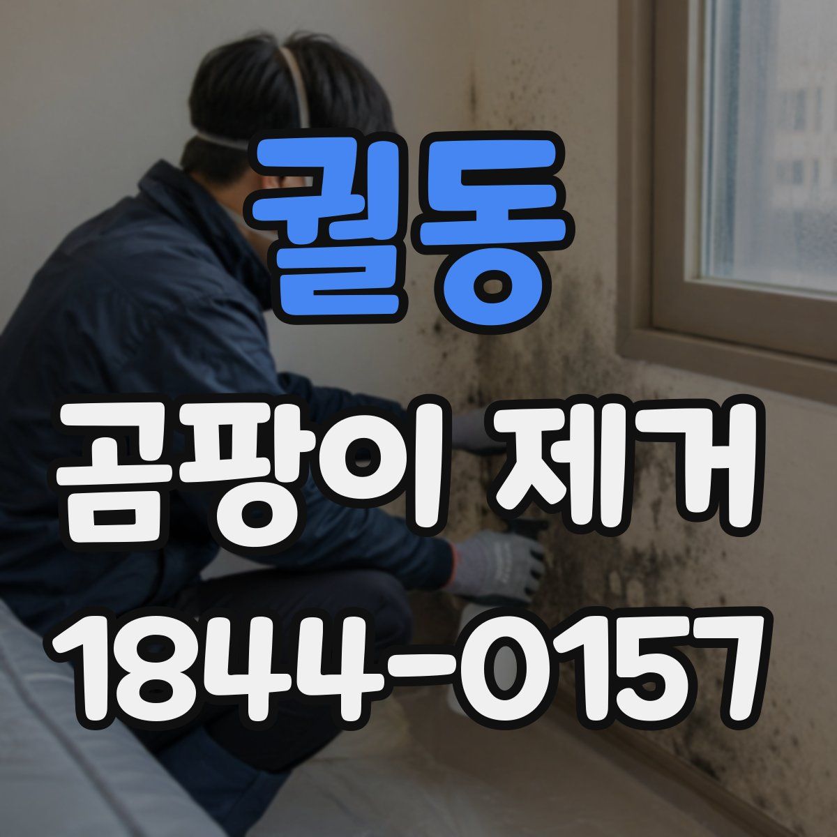 궐동 곰팡이 제거