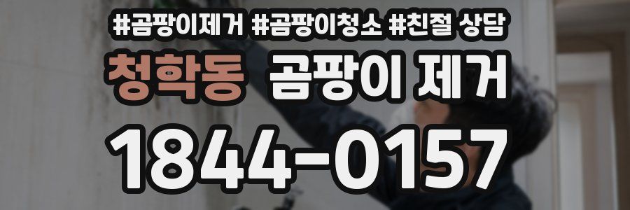 청학동 곰팡이 제거