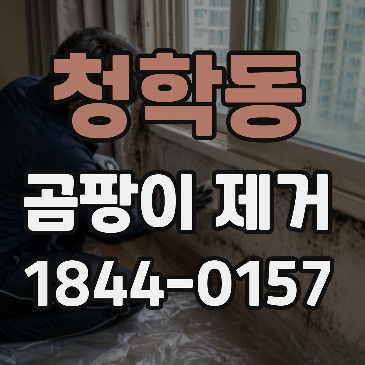 청학동 곰팡이 제거