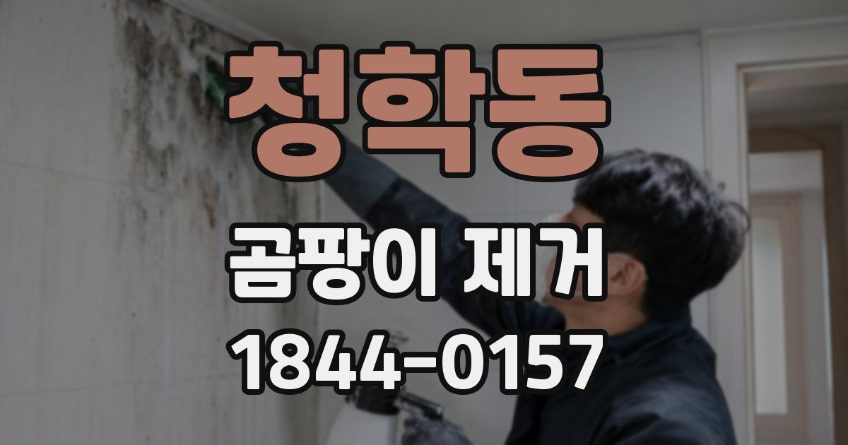 청학동 곰팡이 제거