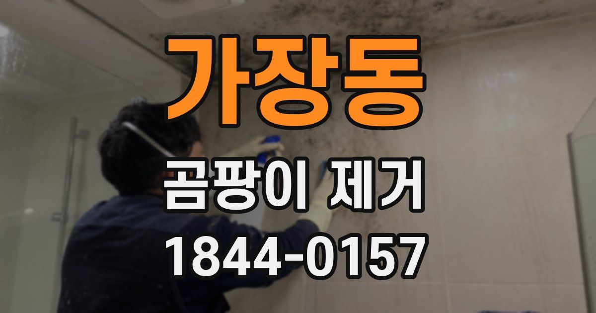 가장동 곰팡이 제거