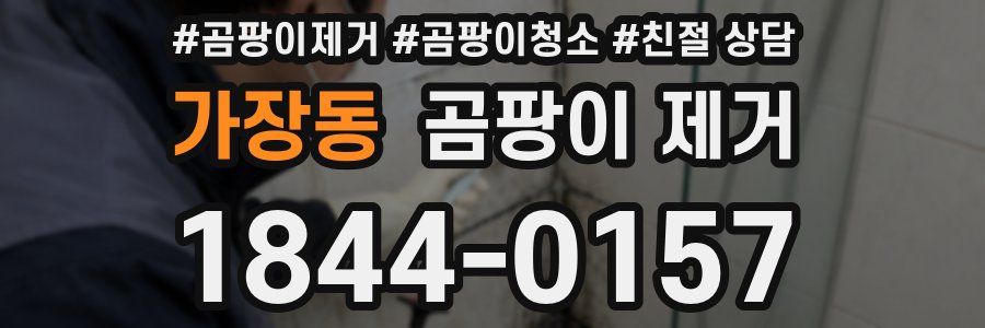 가장동 곰팡이 제거