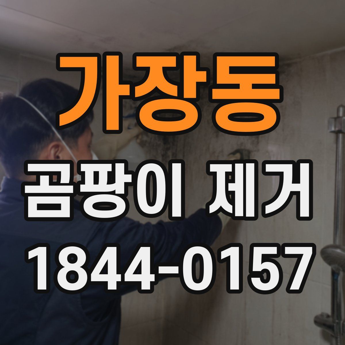 가장동 곰팡이 제거