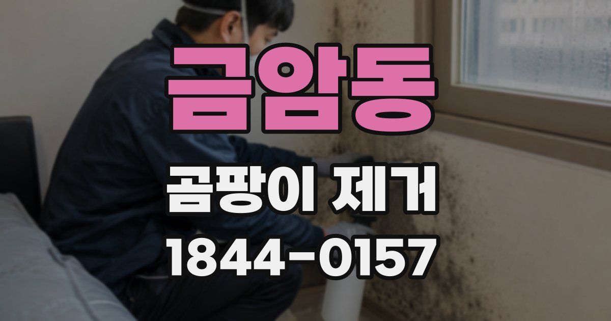 금암동 곰팡이 제거