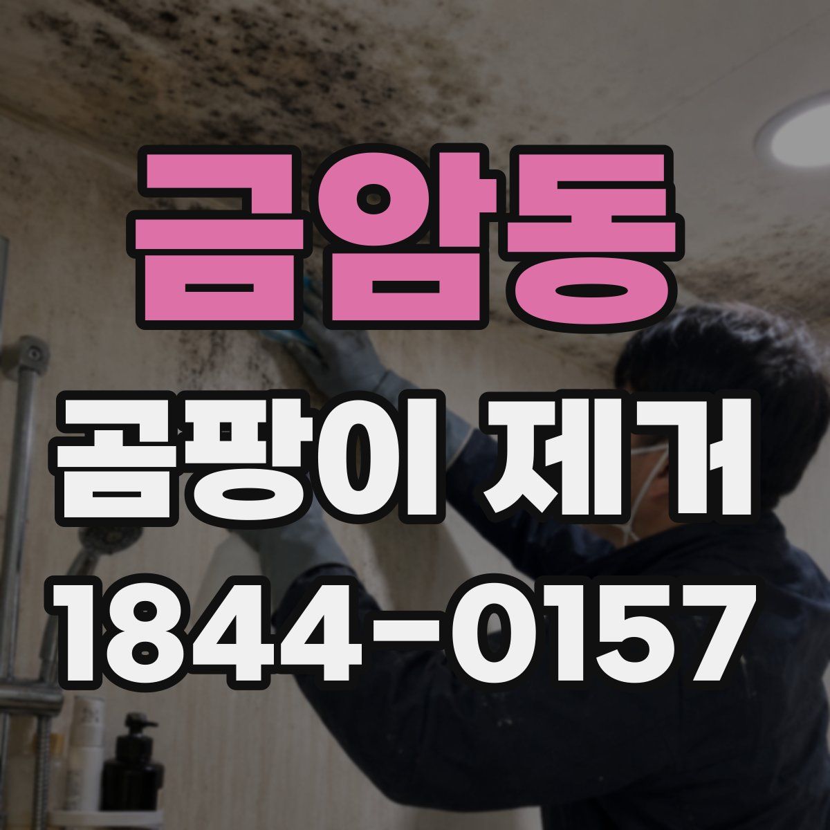 금암동 곰팡이 제거