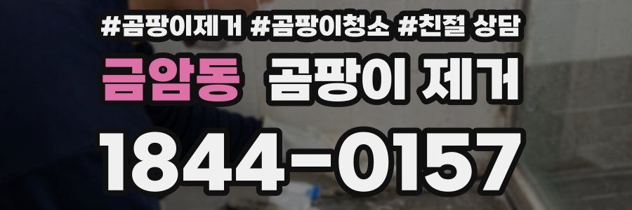 금암동 곰팡이 제거