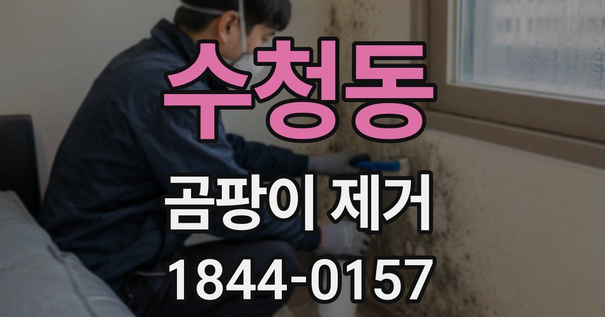 수청동 곰팡이 제거