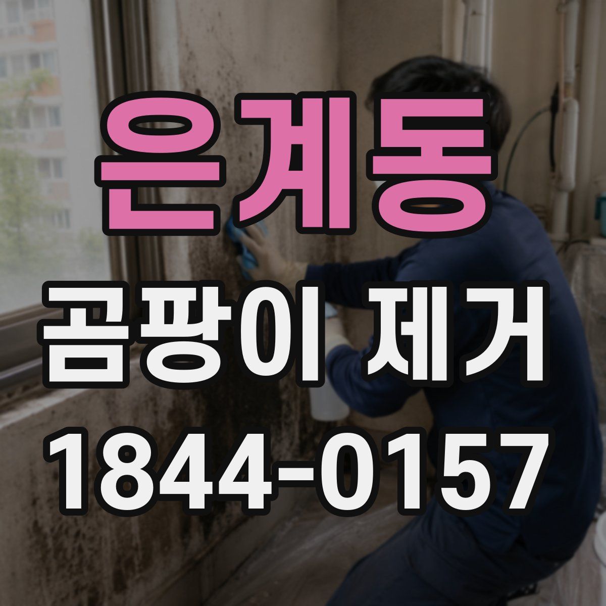 은계동 곰팡이 제거