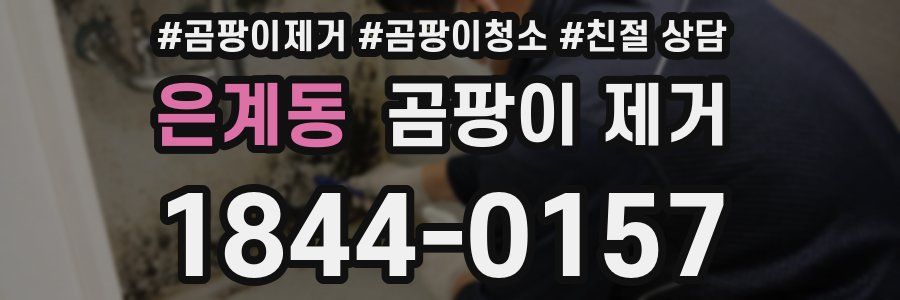 은계동 곰팡이 제거