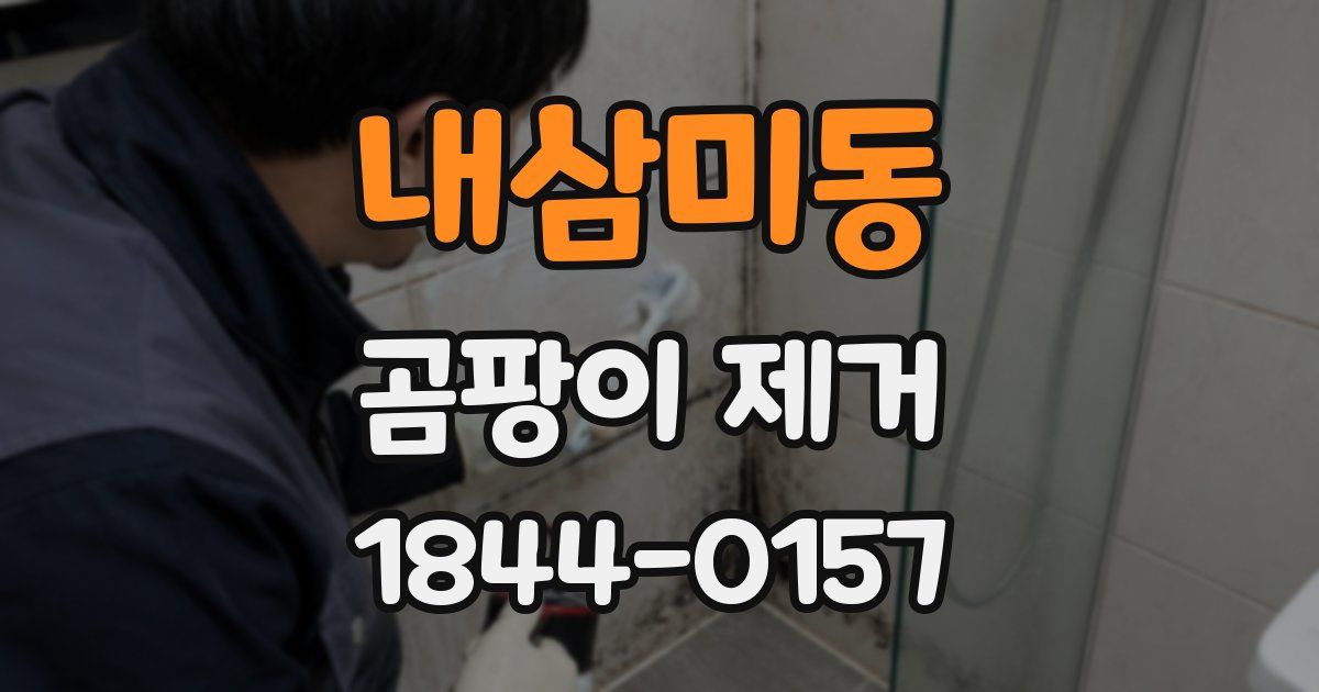 내삼미동 곰팡이 제거
