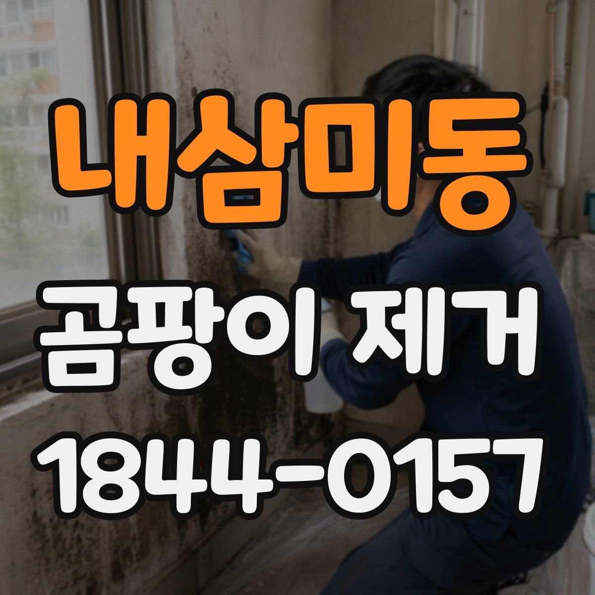 내삼미동 곰팡이 제거