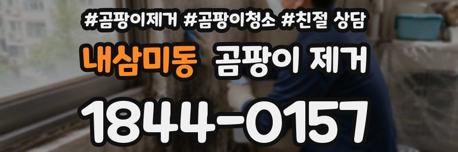 내삼미동 곰팡이 제거