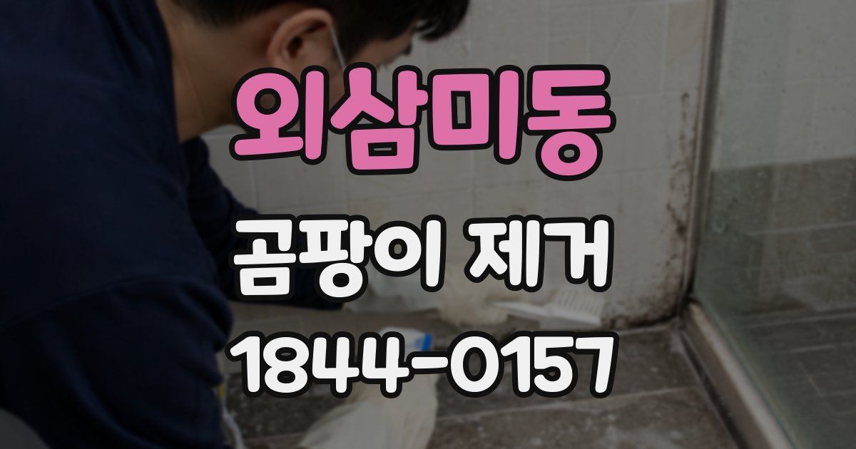 외삼미동 곰팡이 제거