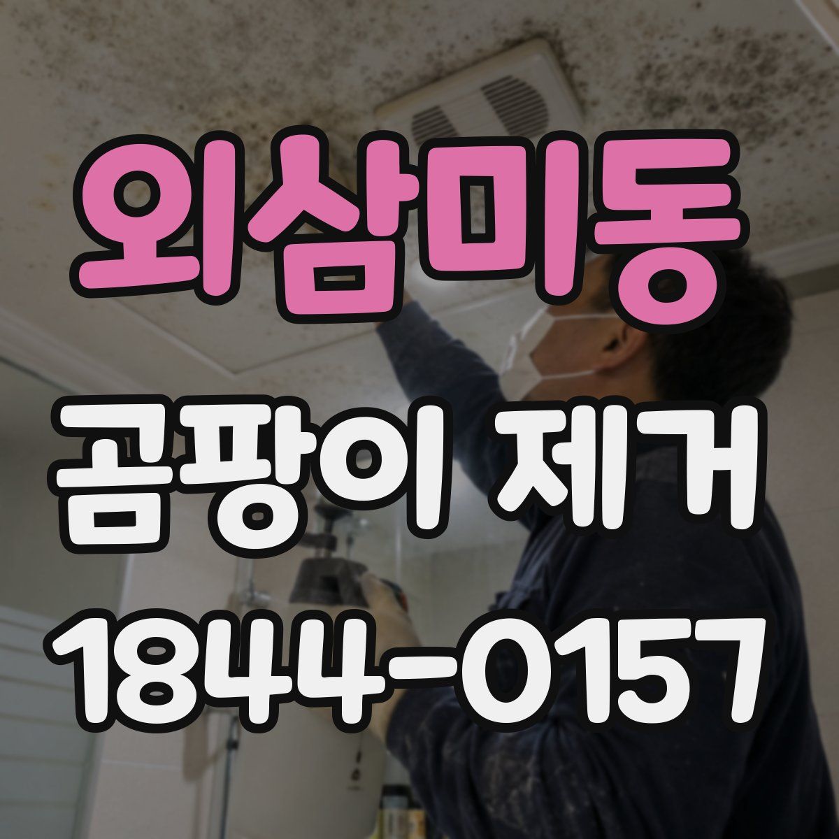 외삼미동 곰팡이 제거