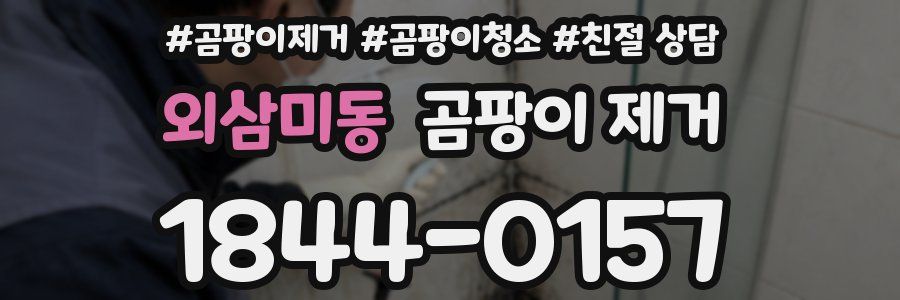 외삼미동 곰팡이 제거