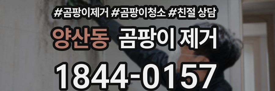 양산동 곰팡이 제거