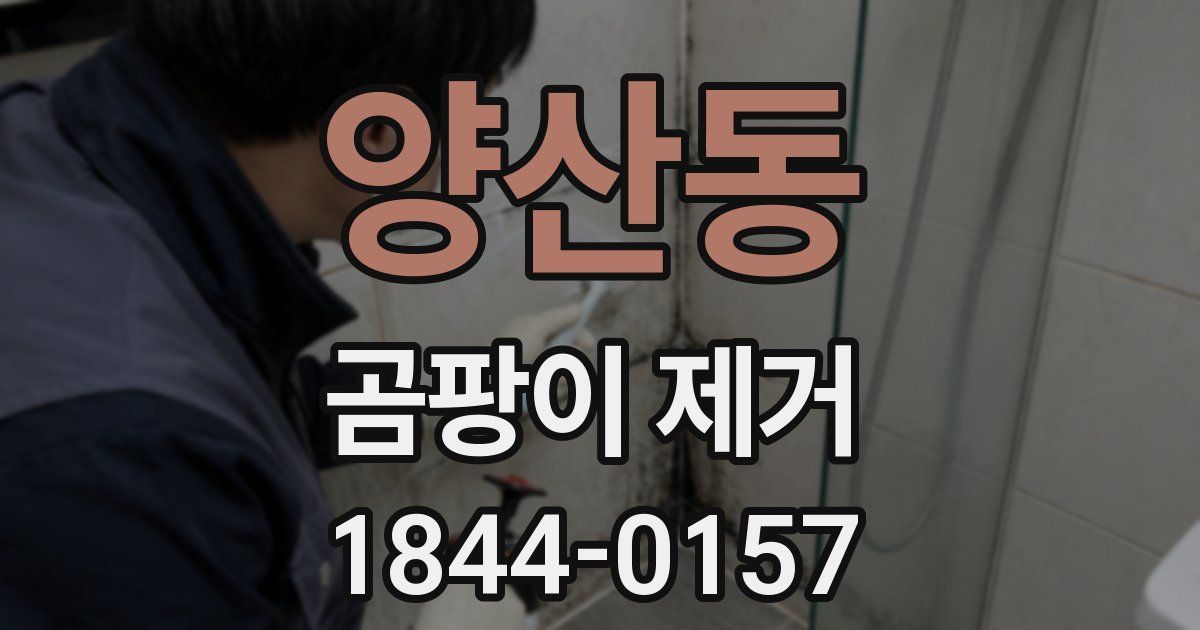양산동 곰팡이 제거