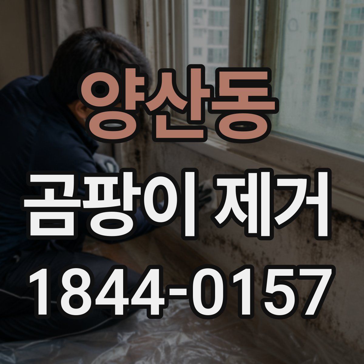 양산동 곰팡이 제거