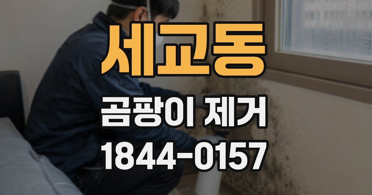 세교동 곰팡이 제거