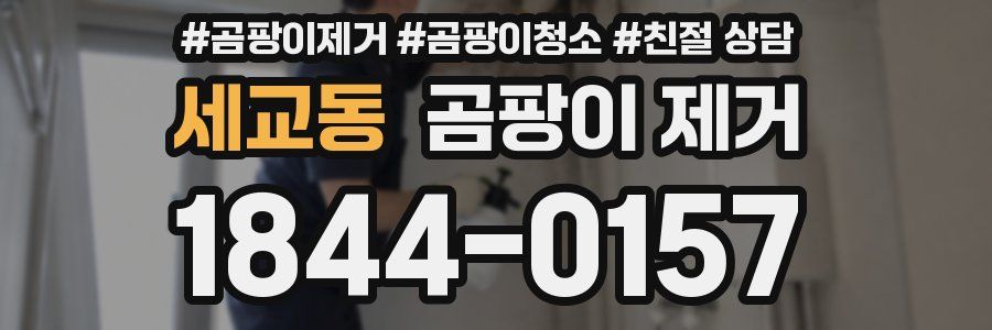 세교동 곰팡이 제거