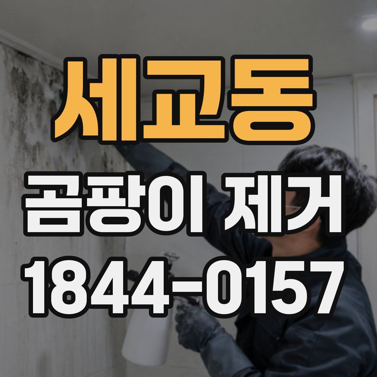 세교동 곰팡이 제거