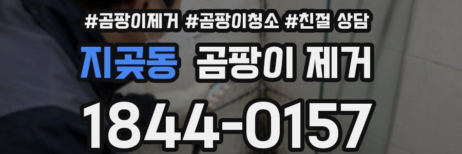지곶동 곰팡이 제거
