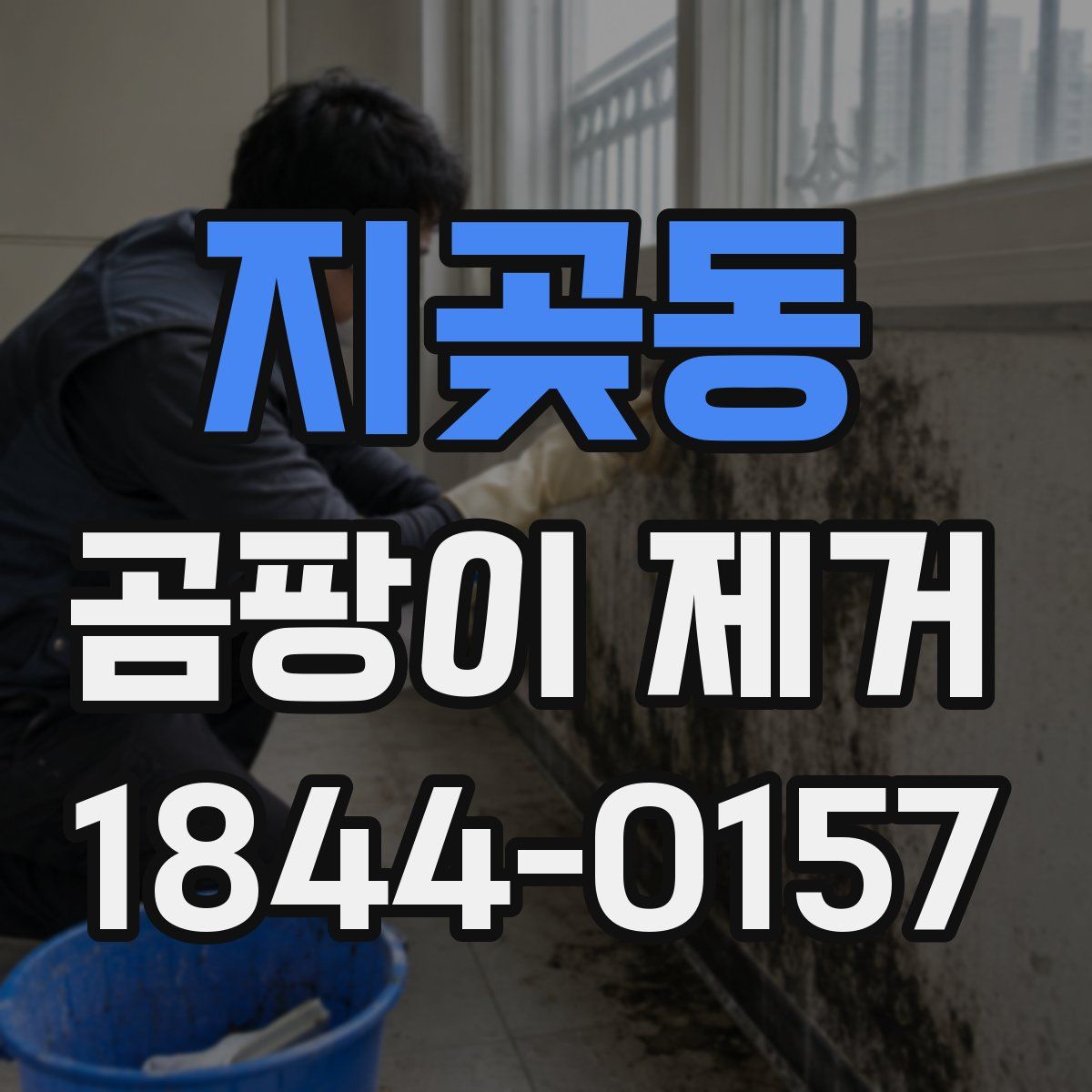 지곶동 곰팡이 제거