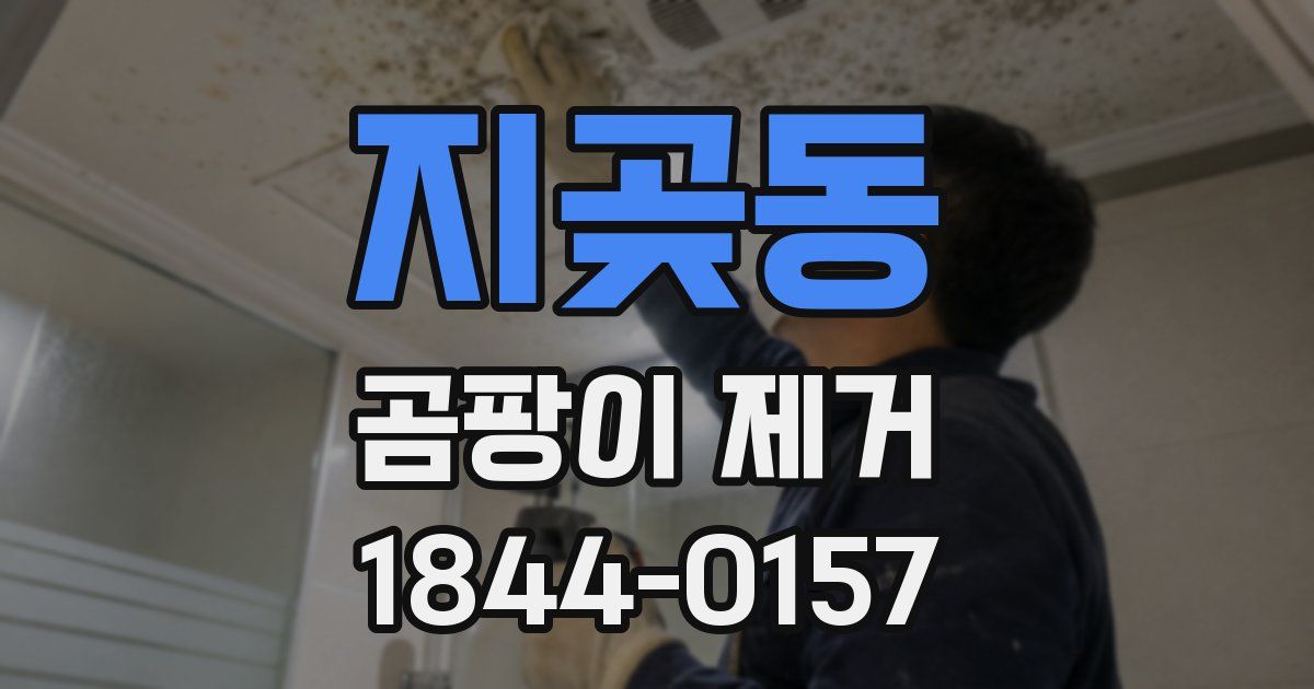 지곶동 곰팡이 제거