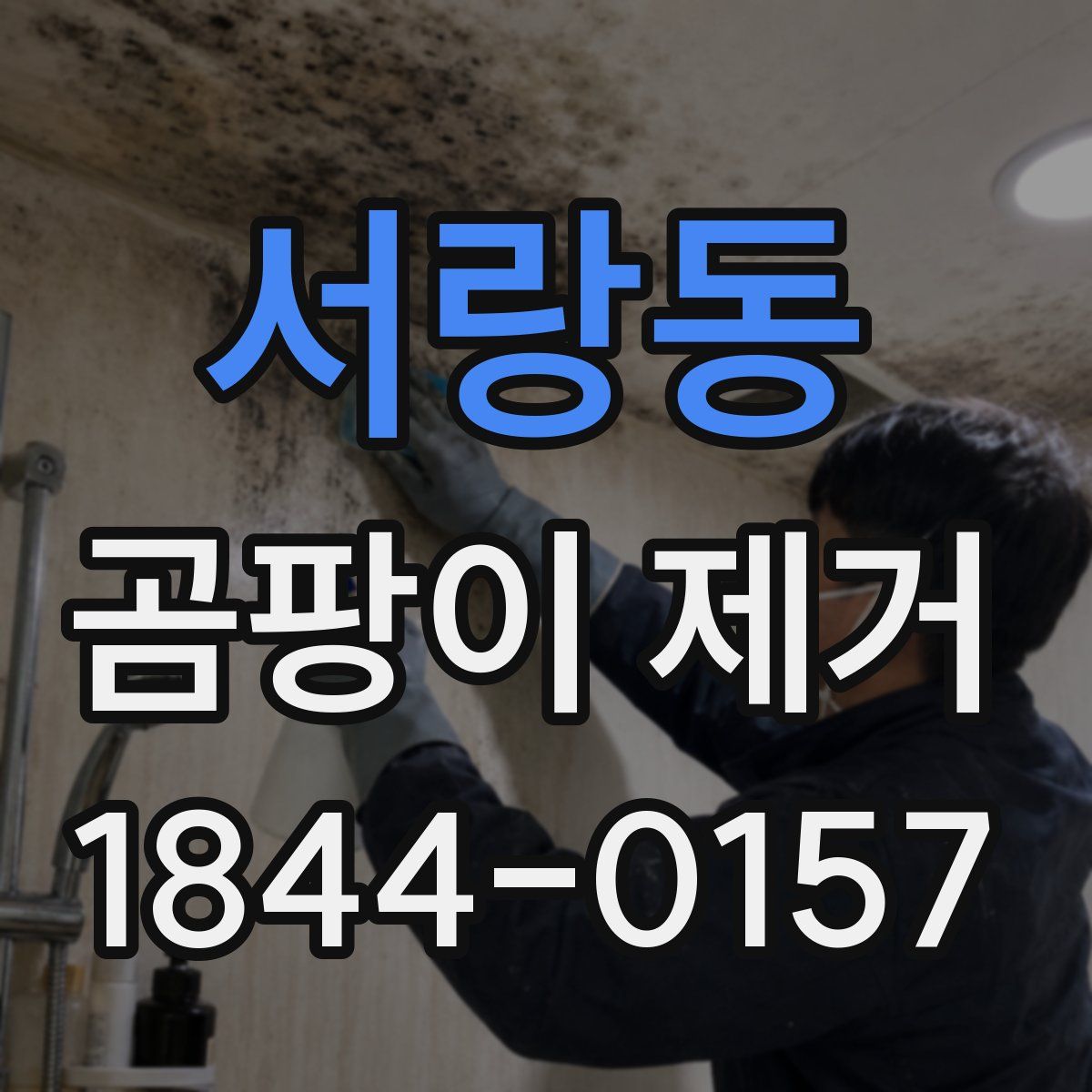 서랑동 곰팡이 제거