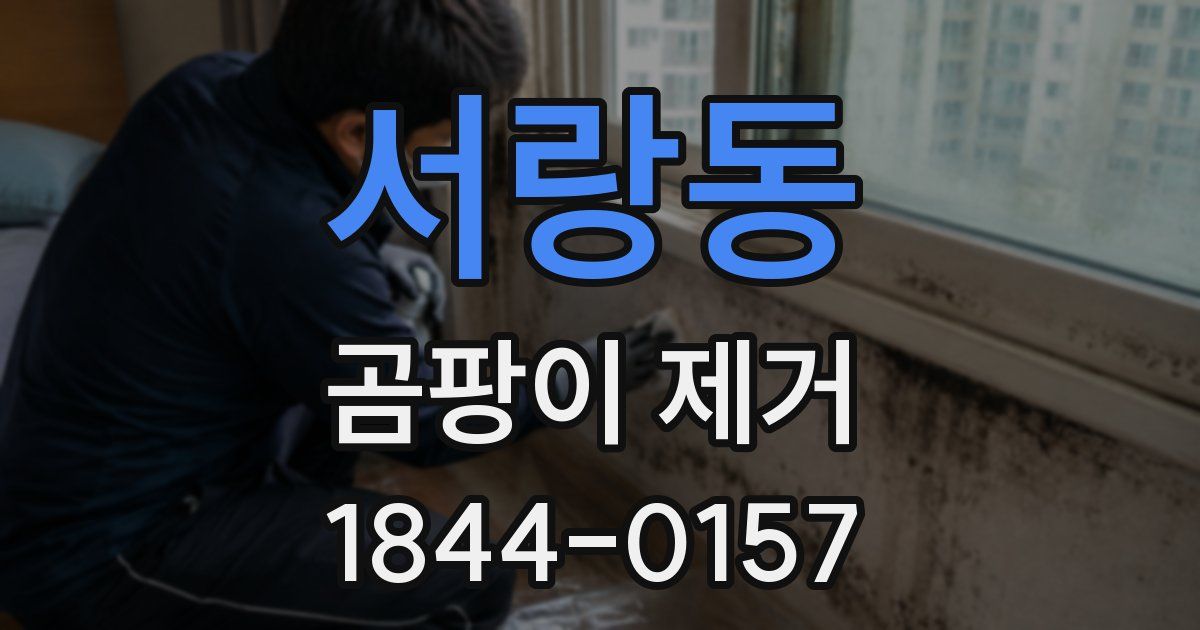 서랑동 곰팡이 제거