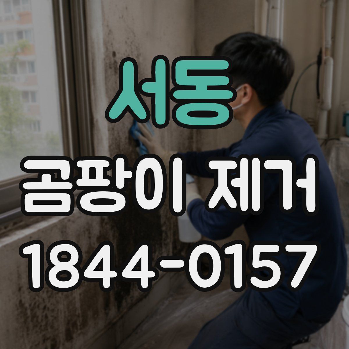 서동 곰팡이 제거