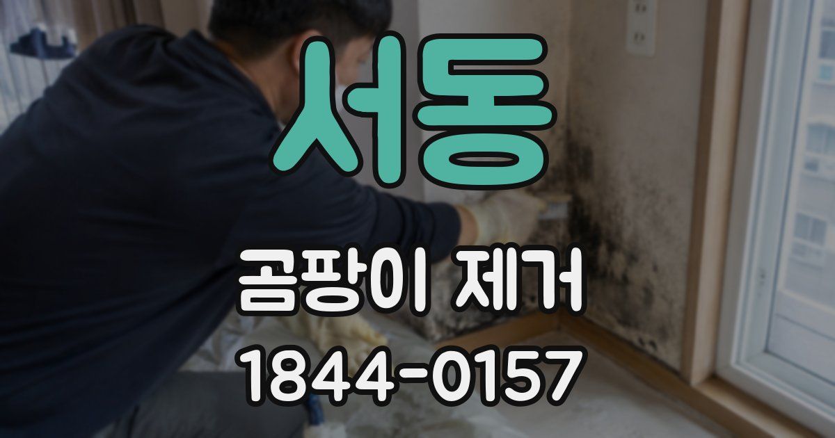 서동 곰팡이 제거