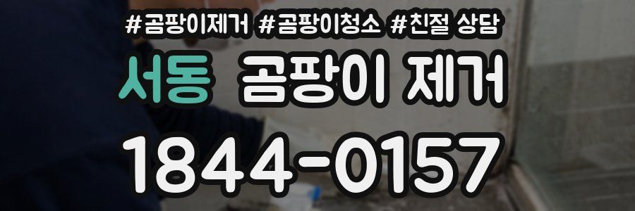 서동 곰팡이 제거