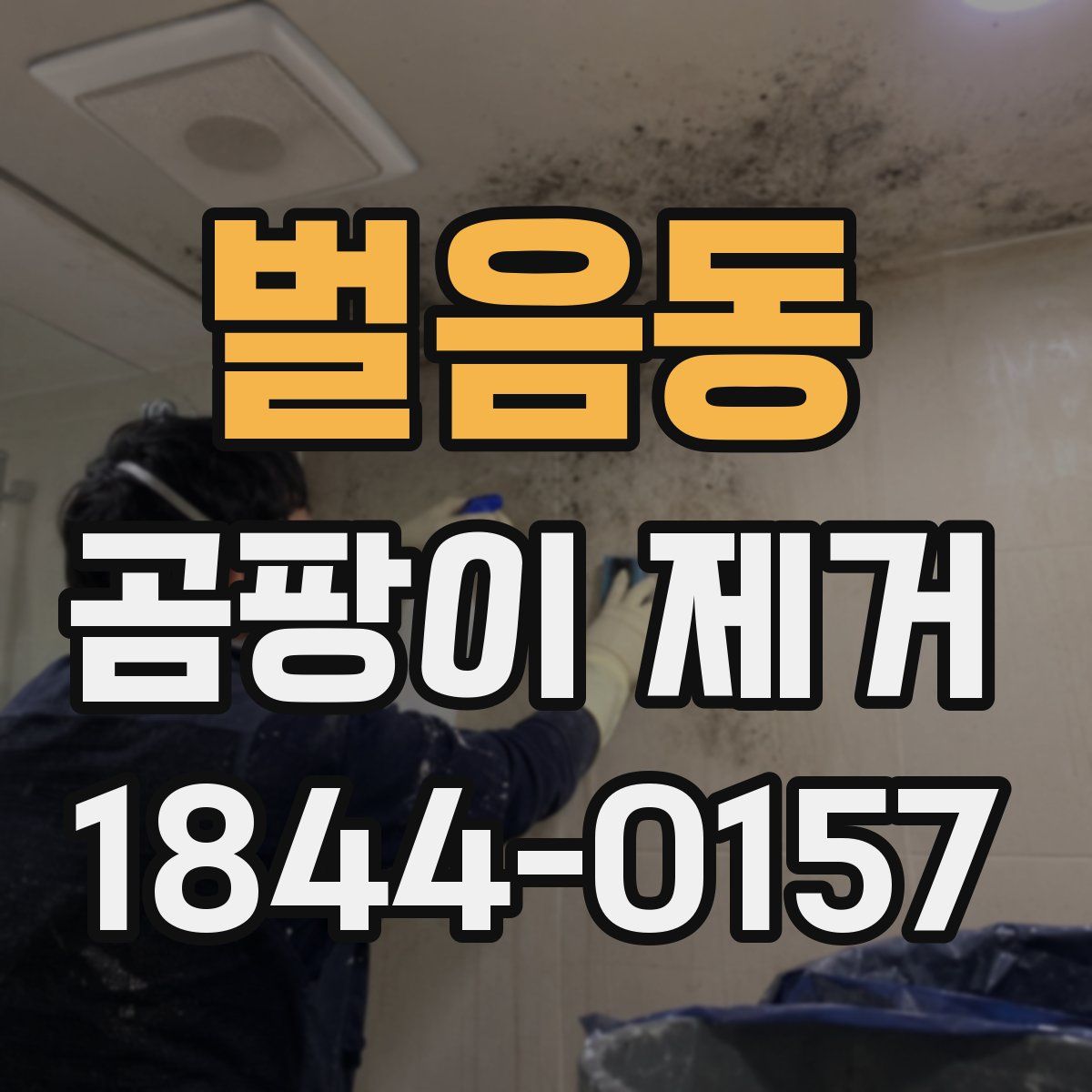 벌음동 곰팡이 제거