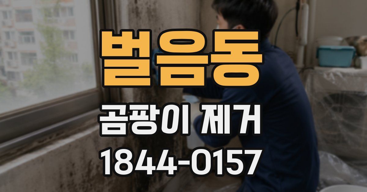벌음동 곰팡이 제거