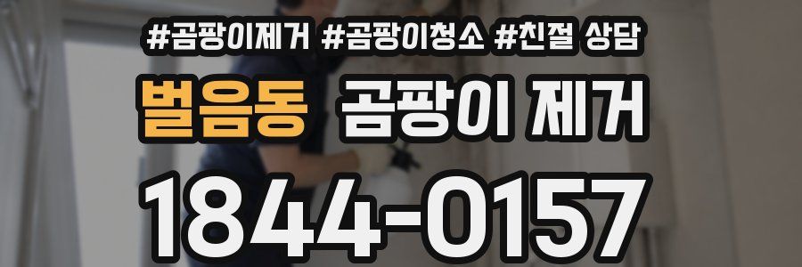 벌음동 곰팡이 제거