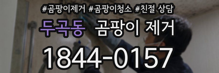 두곡동 곰팡이 제거