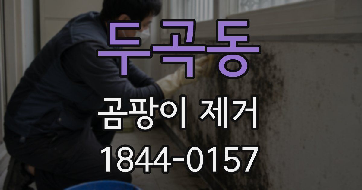 두곡동 곰팡이 제거