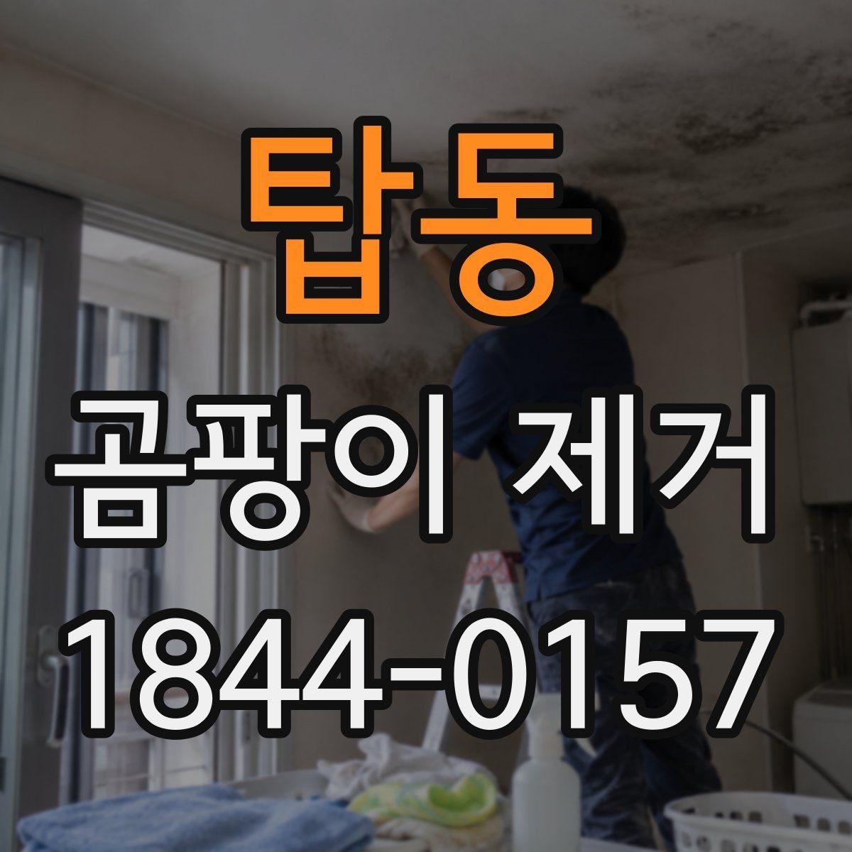 탑동 곰팡이 제거 후 보수 공사가 필요한 경우