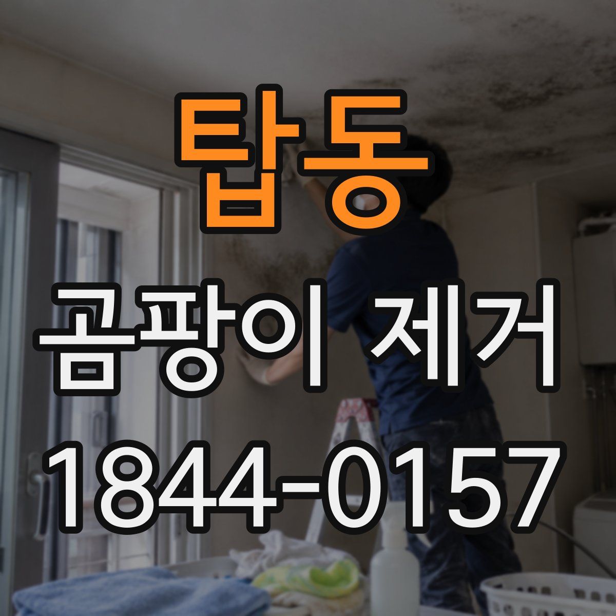 탑동 곰팡이 제거