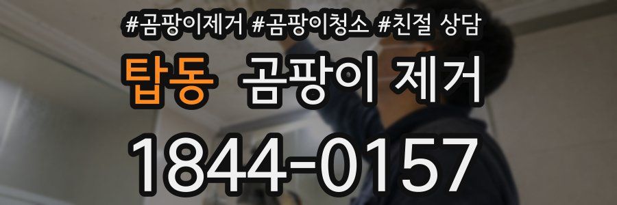탑동 곰팡이 제거